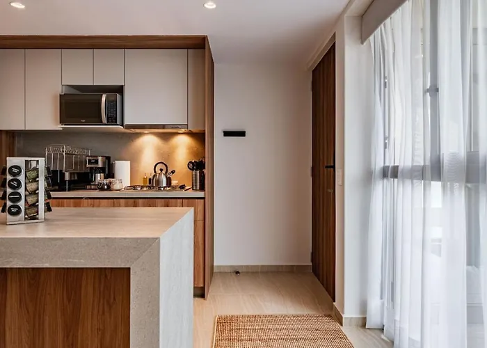 Appartement Condesa Penthouse With Rooftop Terrace And Bbq Mexico