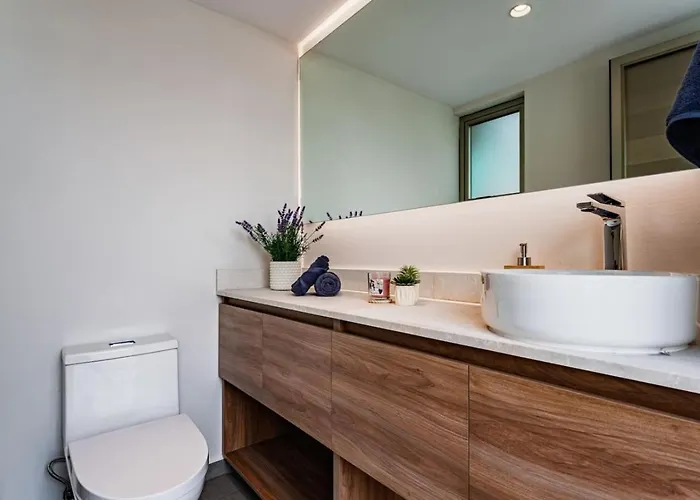 Appartement Condesa Penthouse With Rooftop Terrace And Bbq Mexico